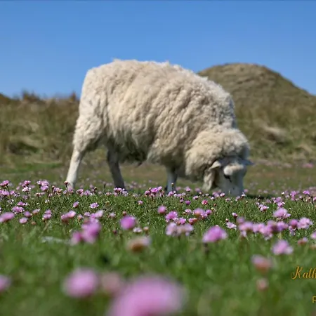 Im Haus Undine Undine, App 7