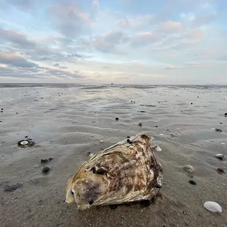 Im Haus Undine Undine, App 7 * Westerland